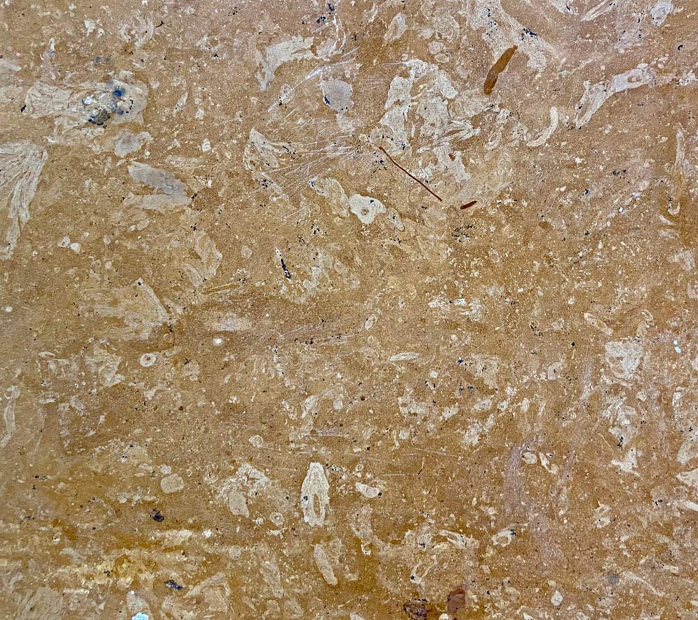 Indian marble Gurgaon